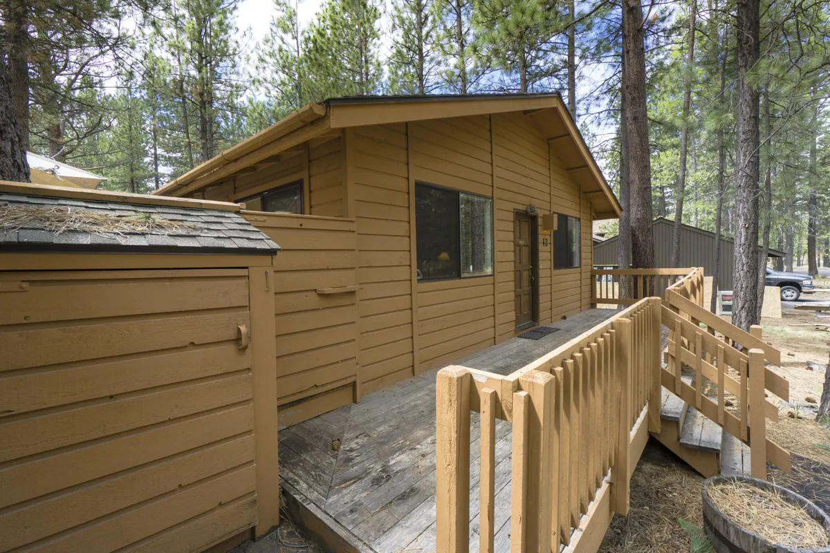 This exterior image features the cabin's wooden facade nestled among tall trees, with a ramp leading up to the entrance. The surrounding natural landscape suggests immediate access to trails and the outdoors, setting an adventurous yet cozy scene that entices guests to explore the environment beyond the doorstep.